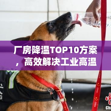 厂房降温TOP10方案，高效解决工业高温，助力生产环境优化