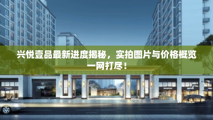兴悦壹品最新进度揭秘，实拍图片与价格概览一网打尽！