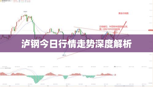 泸钢今日行情走势深度解析