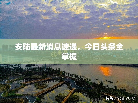 安陆最新消息速递，今日头条全掌握