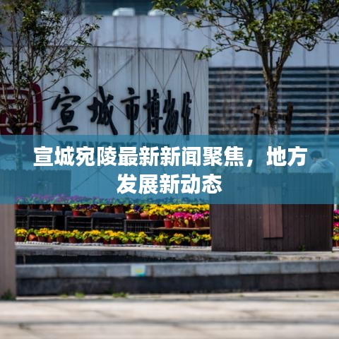 宣城宛陵最新新闻聚焦，地方发展新动态