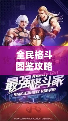 全民格斗图鉴攻略大全（最新版）