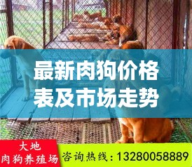 最新肉狗价格表及市场走势分析，多重因素揭秘价格浮动原因