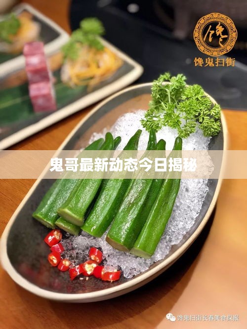 鬼哥最新动态今日揭秘