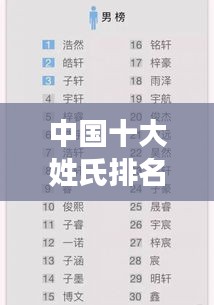 中国十大姓氏排名及其独特韵味解析