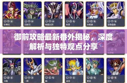 御前攻略最新番外揭秘，深度解析与独特观点分享
