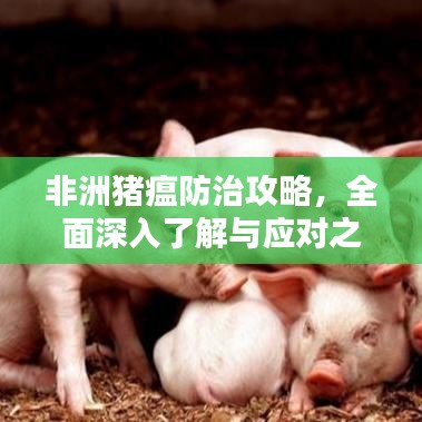 非洲猪瘟防治攻略，全面深入了解与应对之道