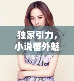 独家引力，小说番外魅力大揭秘