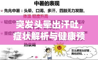 突发头晕出汗吐，症状解析与健康预警提示