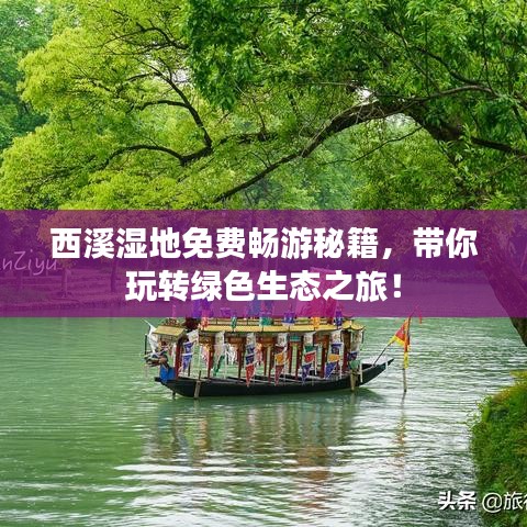 西溪湿地免费畅游秘籍，带你玩转绿色生态之旅！
