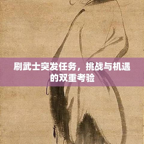 刷武士突发任务，挑战与机遇的双重考验