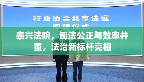 泰兴法院，司法公正与效率并重，法治新标杆亮相