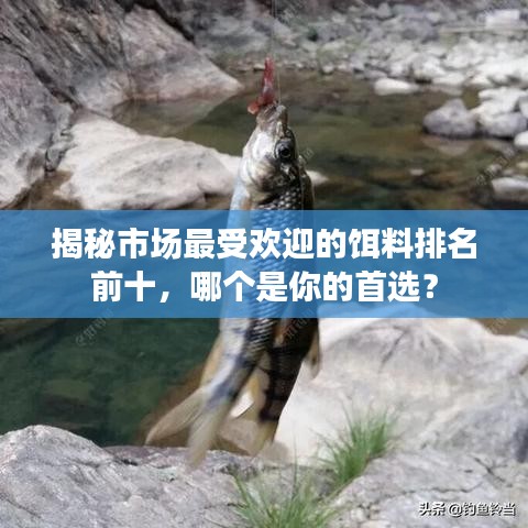 揭秘市场最受欢迎的饵料排名前十，哪个是你的首选？