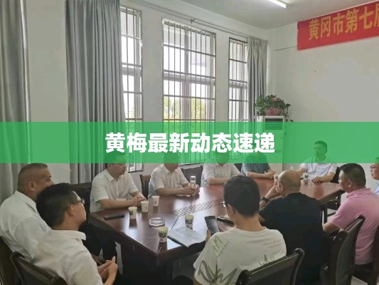 黄梅最新动态速递
