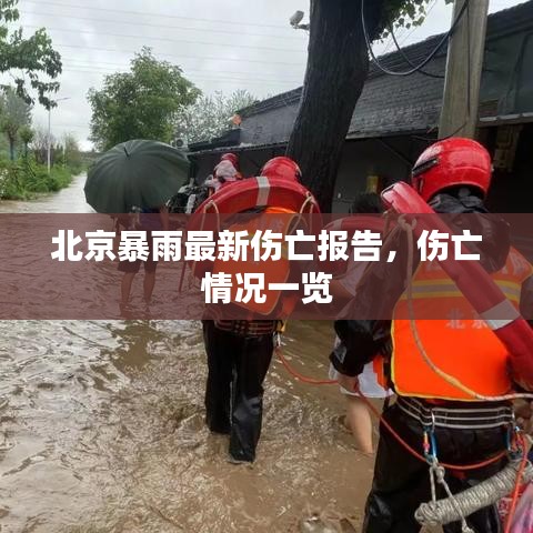 北京暴雨最新伤亡报告，伤亡情况一览
