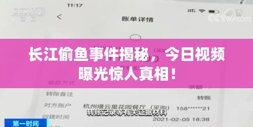 长江偷鱼事件揭秘，今日视频曝光惊人真相！