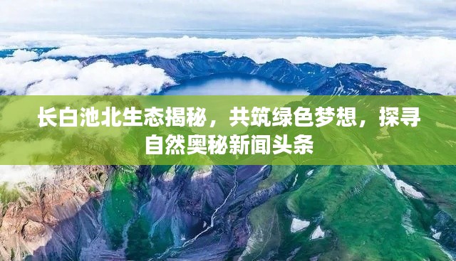 长白池北生态揭秘，共筑绿色梦想，探寻自然奥秘新闻头条