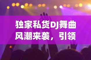 独家私货DJ舞曲风潮来袭，引领舞曲新潮流，让你欲罢不能！