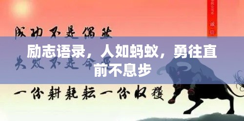 励志语录，人如蚂蚁，勇往直前不息步
