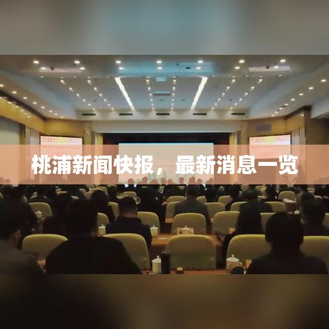 桃浦新闻快报，最新消息一览