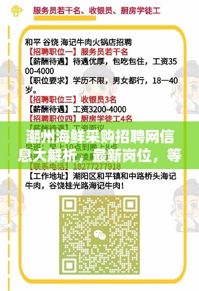 潮州海鲜采购招聘网信息大解析，最新岗位，等你来挑！