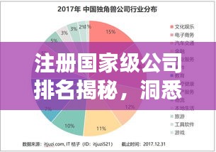 注册国家级公司排名揭秘，洞悉中国商业力量的地域分布