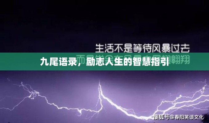 九尾语录，励志人生的智慧指引