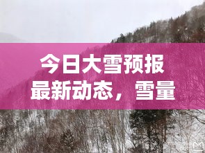 今日大雪预报最新动态，雪量、时间一览无余！