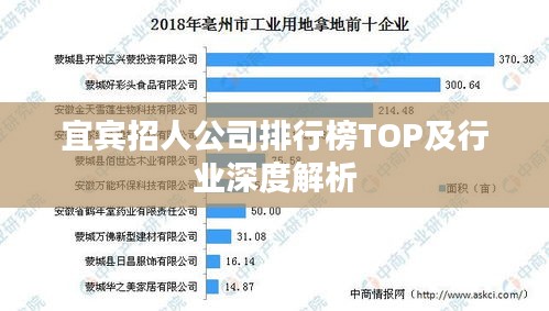 宜宾招人公司排行榜TOP及行业深度解析