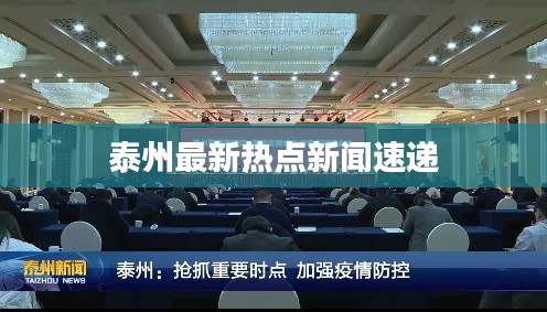 泰州最新热点新闻速递