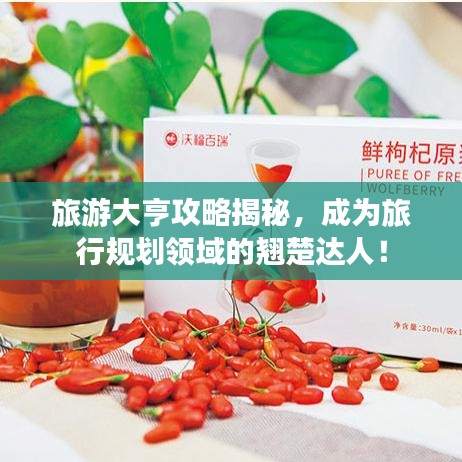 旅游大亨攻略揭秘，成为旅行规划领域的翘楚达人！
