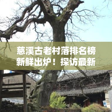慈溪古老村落排名榜新鲜出炉！探访最新榜单中的魅力村落