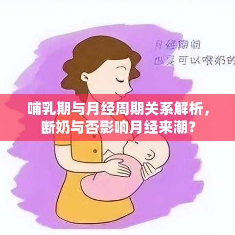 哺乳期与月经周期关系解析，断奶与否影响月经来潮？