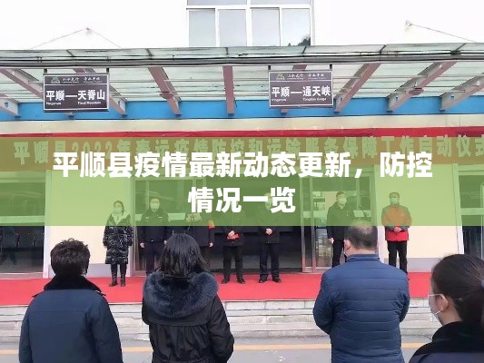 平顺县疫情最新动态更新，防控情况一览