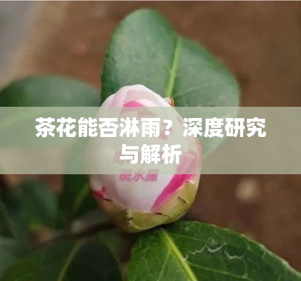 草长莺飞