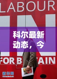 科尔最新动态，今日新闻一览