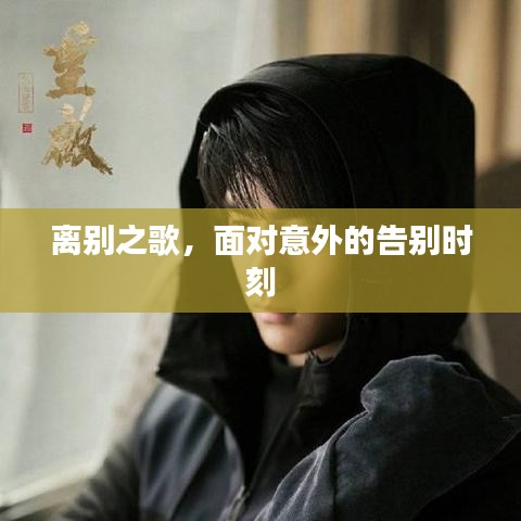 择善而从