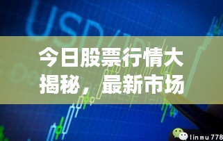 今日股票行情大揭秘，最新市场动态一网打尽！