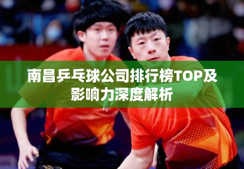南昌乒乓球公司排行榜TOP及影响力深度解析