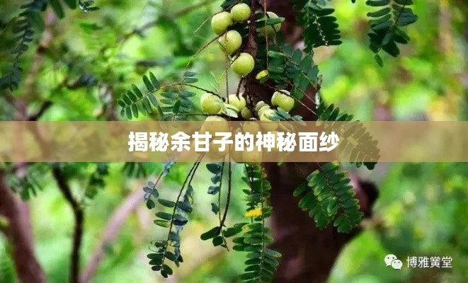 揭秘余甘子的神秘面纱
