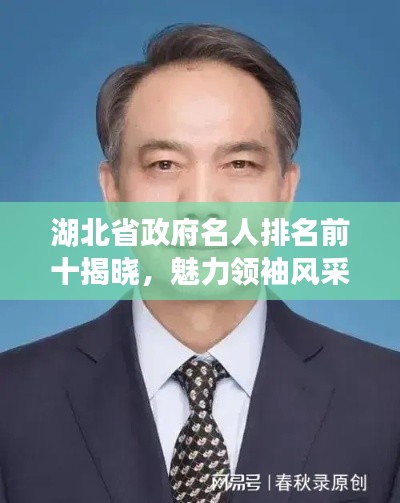 湖北省政府名人排名前十揭晓，魅力领袖风采闪耀
