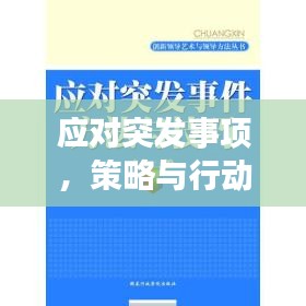 应对突发事项，策略与行动的关键重要性