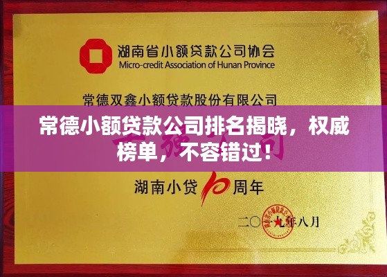 常德小额贷款公司排名揭晓，权威榜单，不容错过！