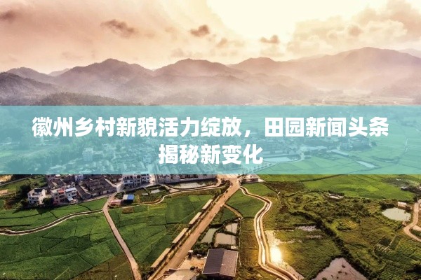 徽州乡村新貌活力绽放，田园新闻头条揭秘新变化