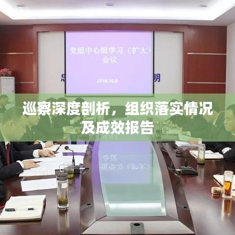 巡察深度剖析，组织落实情况及成效报告