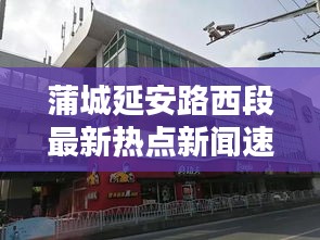蒲城延安路西段最新热点新闻速递