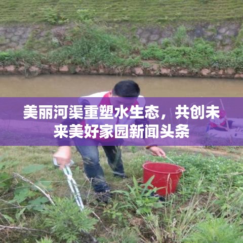 美丽河渠重塑水生态，共创未来美好家园新闻头条