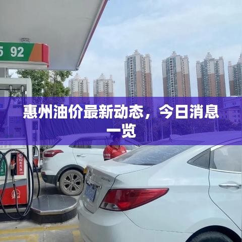 惠州油价最新动态，今日消息一览