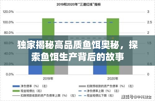 独家揭秘高品质鱼饵奥秘，探索鱼饵生产背后的故事