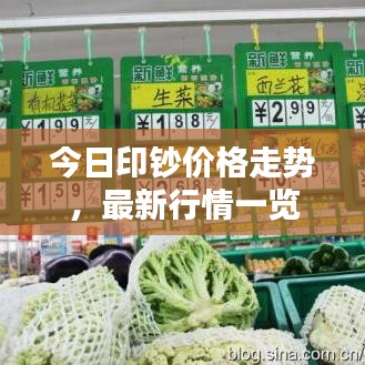 今日印钞价格走势，最新行情一览